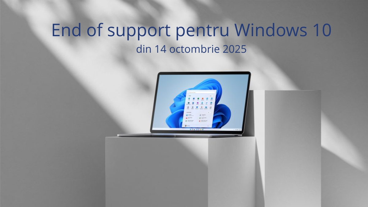 Windows 11